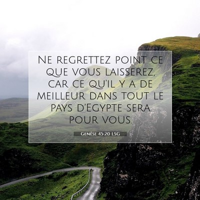 Picture 07 - Genèse 45:20 LSG - Ne regrettez point ce que vous laisserez, car ce - Bible Verse Picture