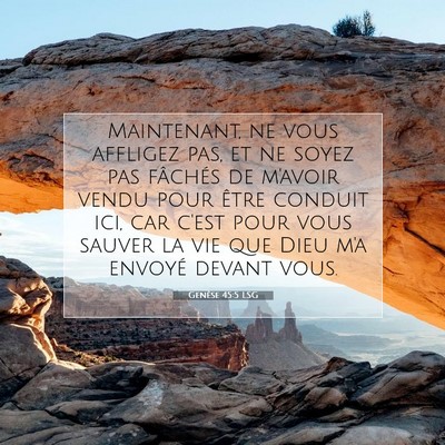 Picture 07 - Genèse 45:5 LSG - Maintenant, ne vous affligez pas, et ne soyez pas - Bible Verse Picture