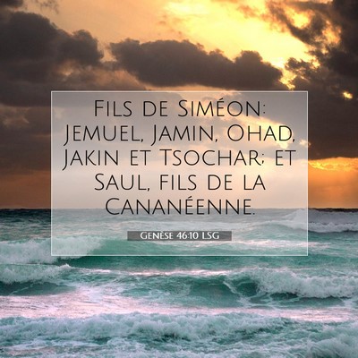 Picture 07 - Genèse 46:10 LSG - Fils de Siméon: Jemuel, Jamin, Ohad, Jakin et - Bible Verse Picture