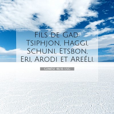 Picture 07 - Genèse 46:16 LSG - Fils de Gad: Tsiphjon, Haggi, Schuni, Etsbon, - Bible Verse Picture