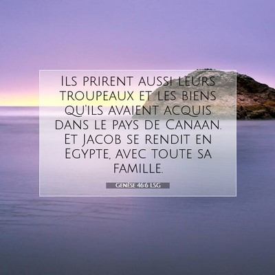 Picture 07 - Genèse 46:6 LSG - Ils prirent aussi leurs troupeaux et les biens - Bible Verse Picture