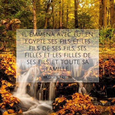 Picture 07 - Genèse 46:7 LSG - Il emmena avec lui en Egypte ses fils et les fils - Bible Verse Picture