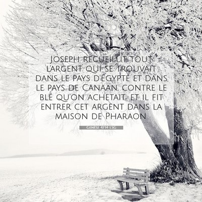 Picture 07 - Genèse 47:14 LSG - Joseph recueillit tout l'argent qui se trouvait - Bible Verse Picture