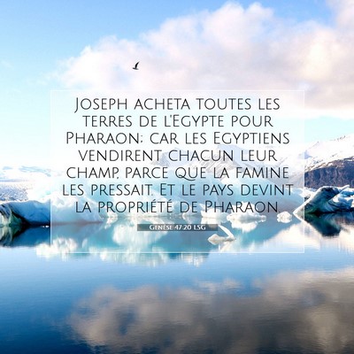 Picture 07 - Genèse 47:20 LSG - Joseph acheta toutes les terres de l'Egypte pour - Bible Verse Picture