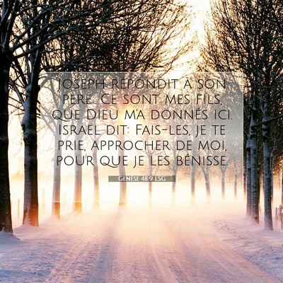 Picture 07 - Genèse 48:9 LSG - Joseph répondit à son père: Ce sont mes fils, - Bible Verse Picture