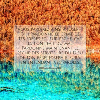 Picture 07 - Genèse 50:17 LSG - Vous parlerez ainsi à Joseph: Oh! pardonne le - Bible Verse Picture