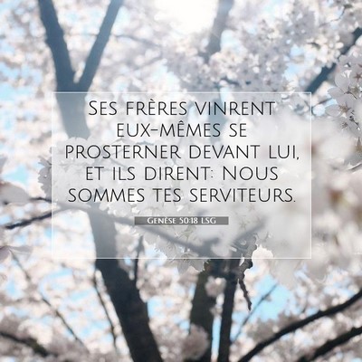 Picture 07 - Genèse 50:18 LSG - Ses frères vinrent eux-mêmes se prosterner - Bible Verse Picture