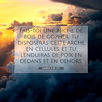 Picture 07 - Genèse 6:14 LSG - Fais-toi une arche de bois de gopher; tu - Bible Verse Picture