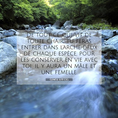 Picture 07 - Genèse 6:19 LSG - De tout ce qui vit, de toute chair, tu feras - Bible Verse Picture