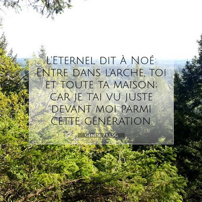 Picture 07 - Genèse 7:1 LSG - L'Eternel dit à Noé: Entre dans l'arche, toi et - Bible Verse Picture