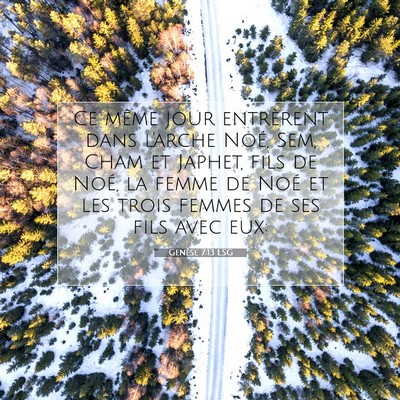 Picture 07 - Genèse 7:13 LSG - Ce même jour entrèrent dans l'arche Noé, Sem, - Bible Verse Picture
