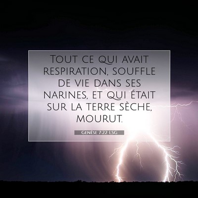 Picture 07 - Genèse 7:22 LSG - Tout ce qui avait respiration, souffle de vie - Bible Verse Picture