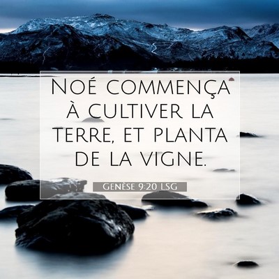 Picture 07 - Genèse 9:20 LSG - Noé commença à cultiver la terre, et planta de - Bible Verse Picture