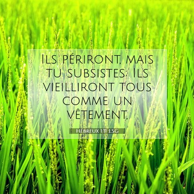 Picture 07 - Hébreux 1:11 LSG - Ils périront, mais tu subsistes; Ils vieilliront - Bible Verse Picture