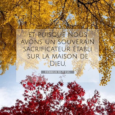 Picture 07 - Hébreux 10:21 LSG - et puisque nous avons un souverain sacrificateur - Bible Verse Picture