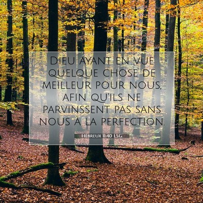 Picture 07 - Hébreux 11:40 LSG - Dieu ayant en vue quelque chose de meilleur pour - Bible Verse Picture