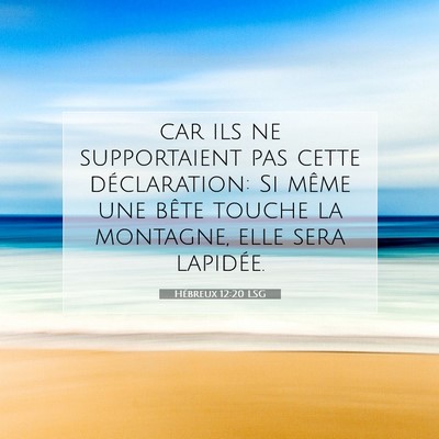Picture 07 - Hébreux 12:20 LSG - car ils ne supportaient pas cette déclaration: - Bible Verse Picture