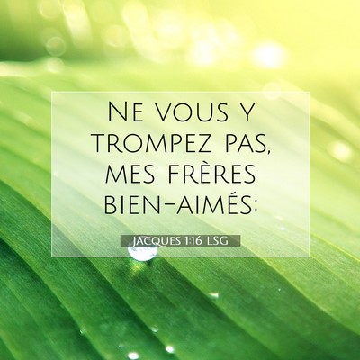 Picture 07 - Jacques 1:16 LSG - Ne vous y trompez pas, mes frères - Bible Verse Picture