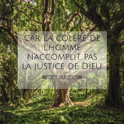 Picture 07 - Jacques 1:20 LSG - car la colère de l'homme n'accomplit pas la - Bible Verse Picture