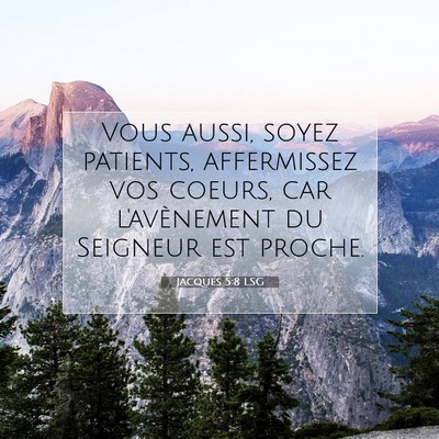 Picture 07 - Jacques 5:8 LSG - Vous aussi, soyez patients, affermissez vos - Bible Verse Picture