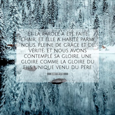 Picture 07 - Jean 1:14 LSG - Et la parole a été faite chair, et elle a - Bible Verse Picture