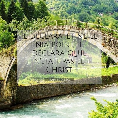 Picture 07 - Jean 1:20 LSG - Il déclara, et ne le nia point, il déclara - Bible Verse Picture