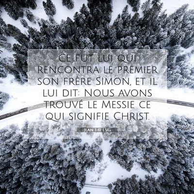 Picture 07 - Jean 1:41 LSG - Ce fut lui qui rencontra le premier son frère - Bible Verse Picture
