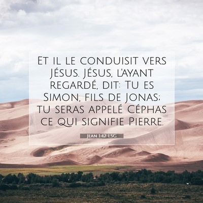 Picture 07 - Jean 1:42 LSG - Et il le conduisit vers Jésus. Jésus, l'ayant - Bible Verse Picture