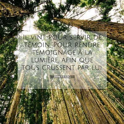 Picture 07 - Jean 1:7 LSG - Il vint pour servir de témoin, pour rendre - Bible Verse Picture
