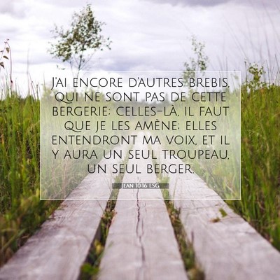 Picture 07 - Jean 10:16 LSG - J'ai encore d'autres brebis, qui ne sont pas de - Bible Verse Picture