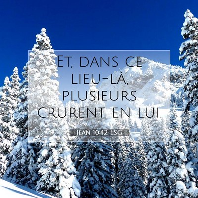 Picture 07 - Jean 10:42 LSG - Et, dans ce lieu-là, plusieurs crurent en - Bible Verse Picture