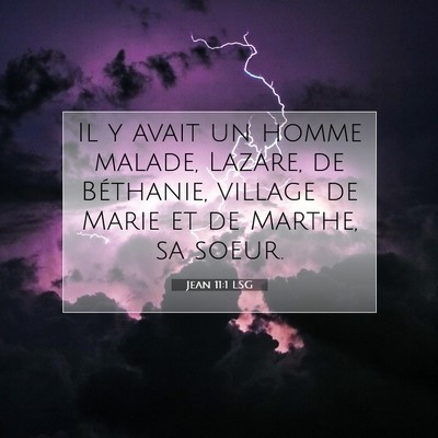 Picture 07 - Jean 11:1 LSG - Il y avait un homme malade, Lazare, de Béthanie, - Bible Verse Picture