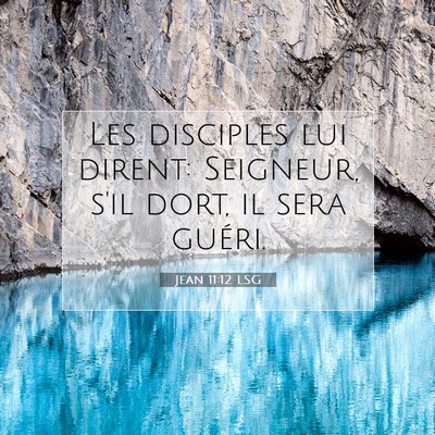 Picture 07 - Jean 11:12 LSG - Les disciples lui dirent: Seigneur, s'il dort, il - Bible Verse Picture