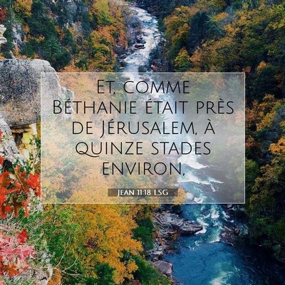 Picture 07 - Jean 11:18 LSG - Et, comme Béthanie était près de Jérusalem, - Bible Verse Picture