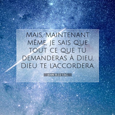Picture 07 - Jean 11:22 LSG - Mais, maintenant même, je sais que tout ce que - Bible Verse Picture