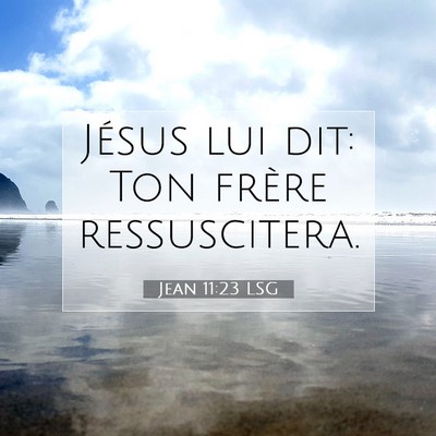 Picture 07 - Jean 11:23 LSG - Jésus lui dit: Ton frère - Bible Verse Picture