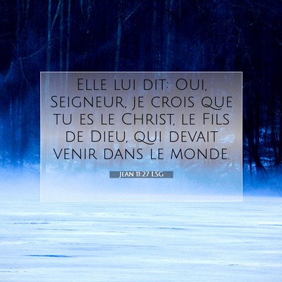 Picture 07 - Jean 11:27 LSG - Elle lui dit: Oui, Seigneur, je crois que tu es - Bible Verse Picture