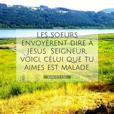 Picture 07 - Jean 11:3 LSG - Les soeurs envoyèrent dire à Jésus: Seigneur, - Bible Verse Picture