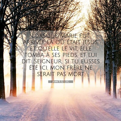 Picture 07 - Jean 11:32 LSG - Lorsque Marie fut arrivée là où était Jésus, - Bible Verse Picture