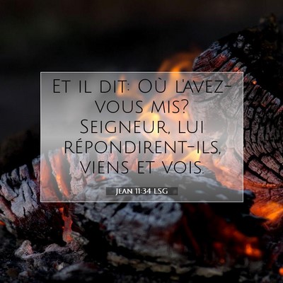Picture 07 - Jean 11:34 LSG - Et il dit: Où l'avez-vous mis? Seigneur, lui - Bible Verse Picture