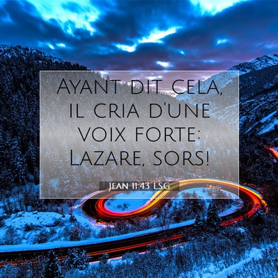 Picture 07 - Jean 11:43 LSG - Ayant dit cela, il cria d'une voix forte: Lazare, - Bible Verse Picture