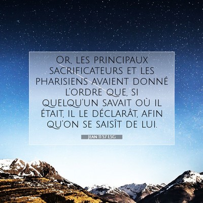 Picture 07 - Jean 11:57 LSG - Or, les principaux sacrificateurs et les - Bible Verse Picture