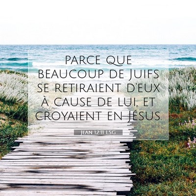 Picture 07 - Jean 12:11 LSG - parce que beaucoup de Juifs se retiraient d'eux - Bible Verse Picture