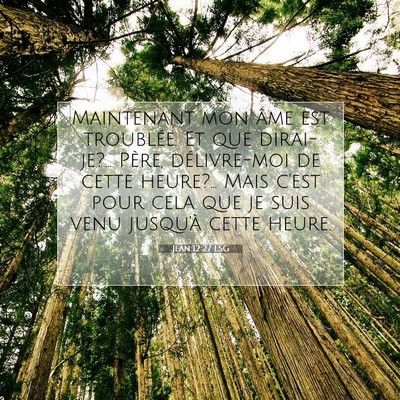 Picture 07 - Jean 12:27 LSG - Maintenant mon âme est troublée. Et que - Bible Verse Picture