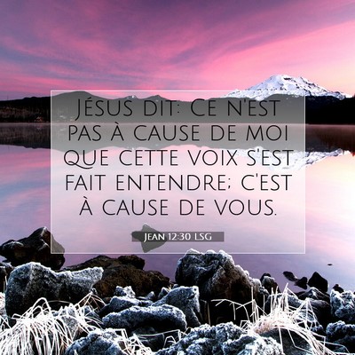 Picture 07 - Jean 12:30 LSG - Jésus dit: Ce n'est pas à cause de moi que - Bible Verse Picture