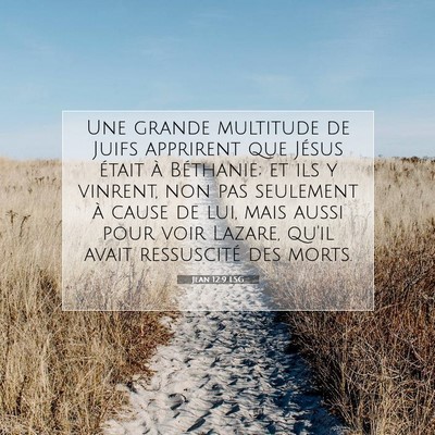 Picture 07 - Jean 12:9 LSG - Une grande multitude de Juifs apprirent que - Bible Verse Picture
