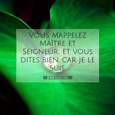 Picture 07 - Jean 13:13 LSG - Vous m'appelez Maître et Seigneur; et vous dites - Bible Verse Picture