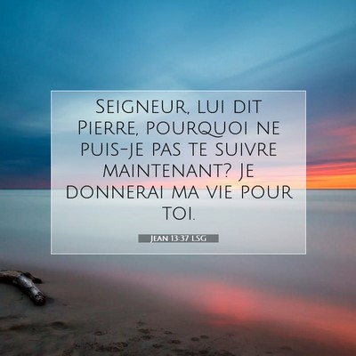 Picture 07 - Jean 13:37 LSG - Seigneur, lui dit Pierre, pourquoi ne puis-je pas - Bible Verse Picture