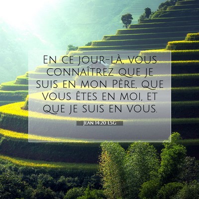 Picture 07 - Jean 14:20 LSG - En ce jour-là, vous connaîtrez que je suis en - Bible Verse Picture