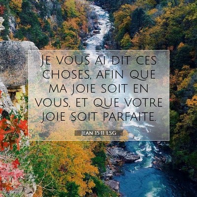 Picture 07 - Jean 15:11 LSG - Je vous ai dit ces choses, afin que ma joie soit - Bible Verse Picture